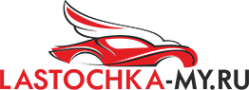 Логотип компании LASTOCHKA-MY.RU