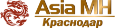 Логотип компании АМХ регион