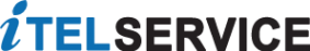 Логотип компании ITEL-SERVICE