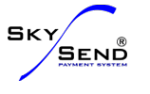 Логотип компании SkySend