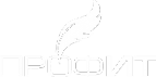 Логотип компании ПрофИТ