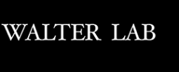 Логотип компании Walter Lab