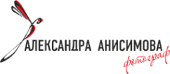 Логотип компании Выездная фотостудия