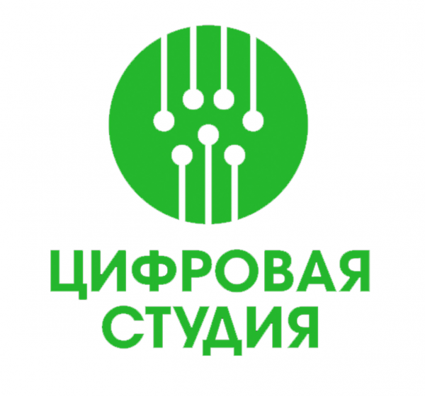Логотип компании Цифровая студия