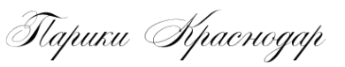 Логотип компании Магазин бижутерии и париков