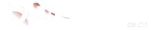 Логотип компании ДИССКОМ