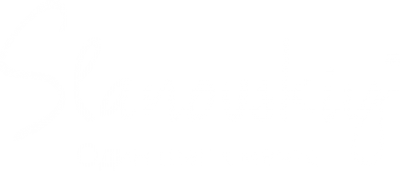 Логотип компании Novikka
