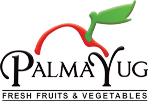 Логотип компании ПальмаЮг