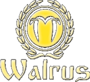 Логотип компании ВАЛРУС