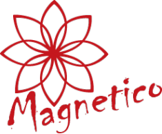 Логотип компании Magnetico