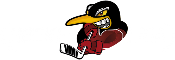 Логотип компании Hockey Liga