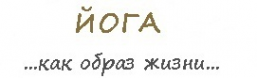 Логотип компании Живи