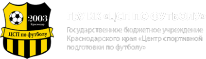 Логотип компании Спортивная школа по футболу