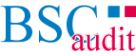 Логотип компании BSC audit
