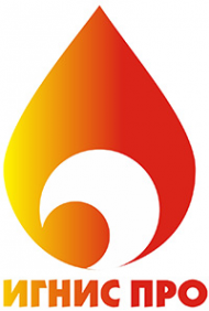 Логотип компании Игнис ПРО