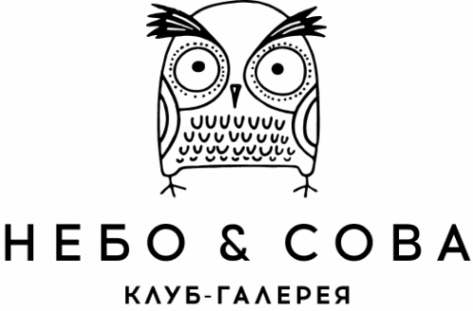 Логотип компании Небо & Сова