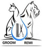 Логотип компании GROOM REMI