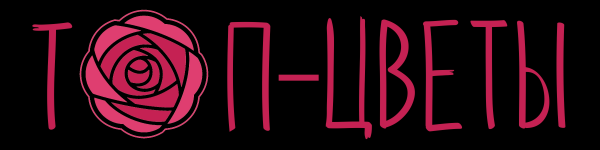Логотип компании Tоп-Цветы