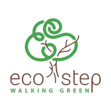 Логотип компании Эко Степ Солар - Eco Step Solar Energy Russia