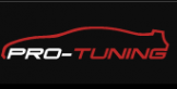 Логотип компании Pro-Tuning Service