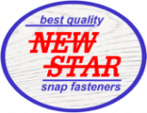 Логотип компании "NewStar"