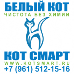 Логотип компании Белый Кот Смарт